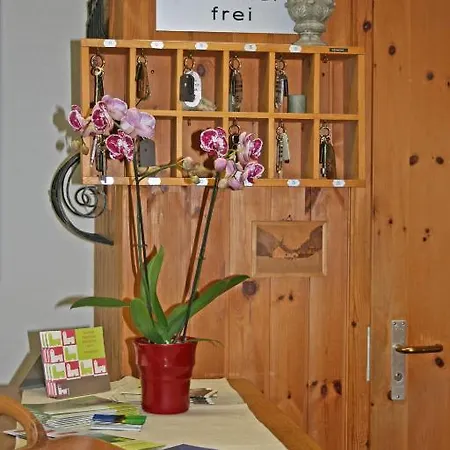 Hotel Piz Vizan 3*